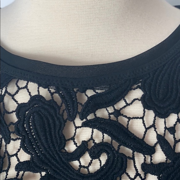 LOFT lace blouse top - Picture 11 of 12